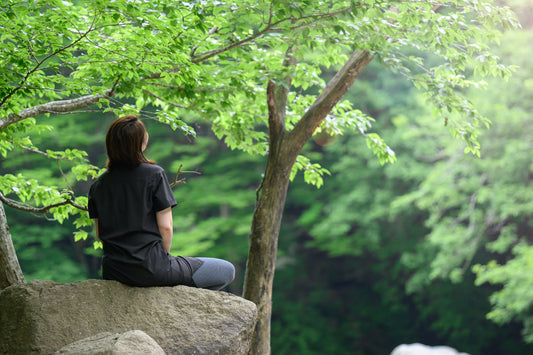 森林浴の効果とは? 静かな奇跡と科学的な裏付け